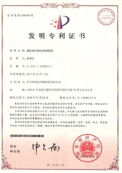 Dished Rubber Diaphragms for Accumulators